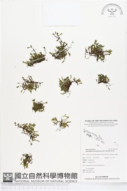 登錄號:BP00304藏品圖，第1張