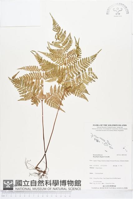 登錄號:BP01304藏品圖，第1張