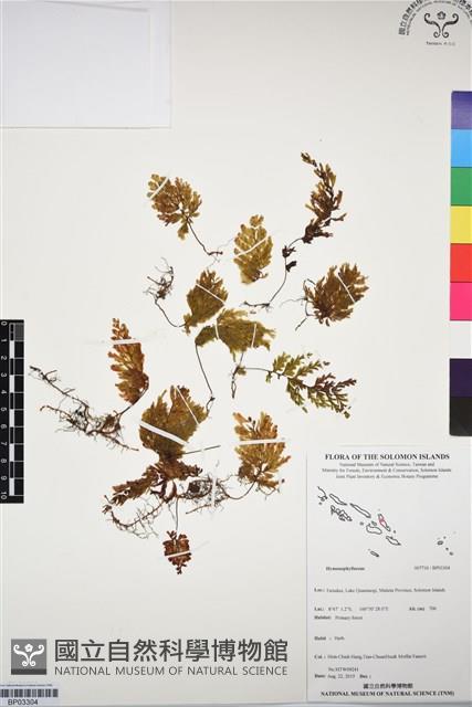 登錄號:BP03304藏品圖，第1張