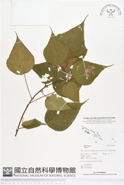 登錄號:BS01834藏品圖，第1張