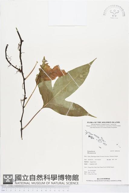 登錄號:BP01034藏品圖，第1張