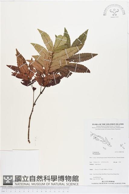 登錄號:BS05034藏品圖，第1張