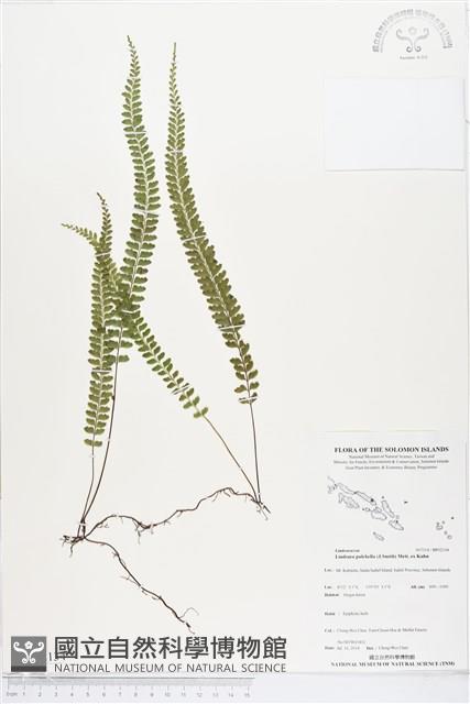 登錄號:BP02134藏品圖，第1張