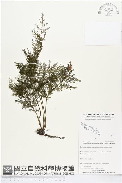 登錄號:BP01134藏品圖，第1張