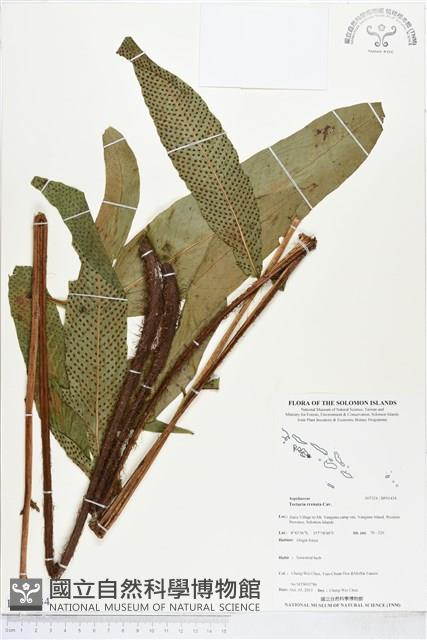 登錄號:BP01434藏品圖，第1張