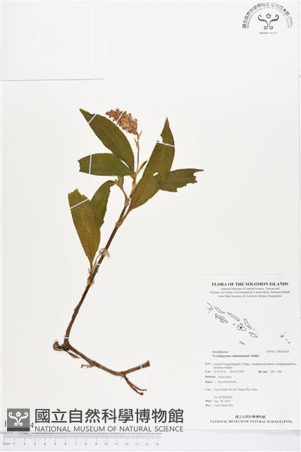 登錄號:BS01434藏品圖，第1張