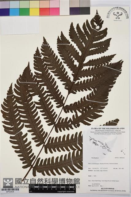 登錄號:BP03434藏品圖，第1張