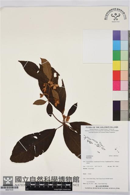 登錄號:BS07434藏品圖，第1張