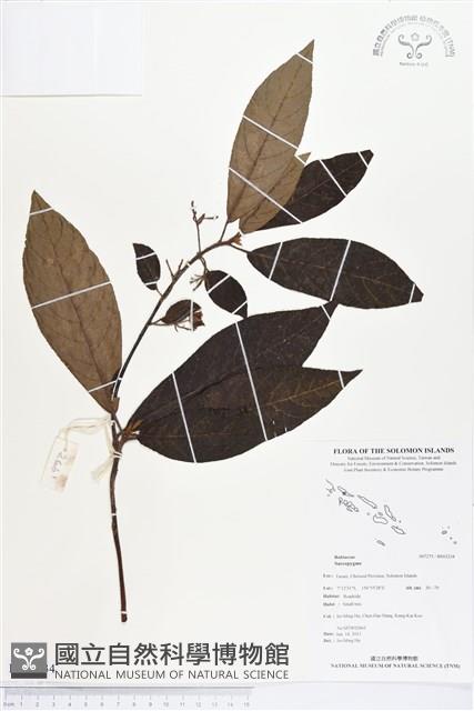 登錄號:BS03234藏品圖，第1張