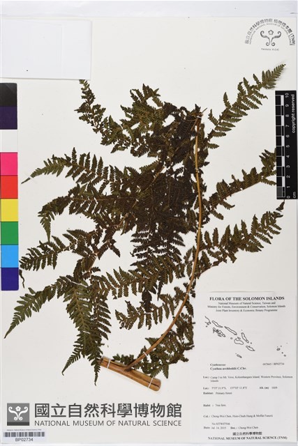 登錄號:BP02734藏品圖，第1張
