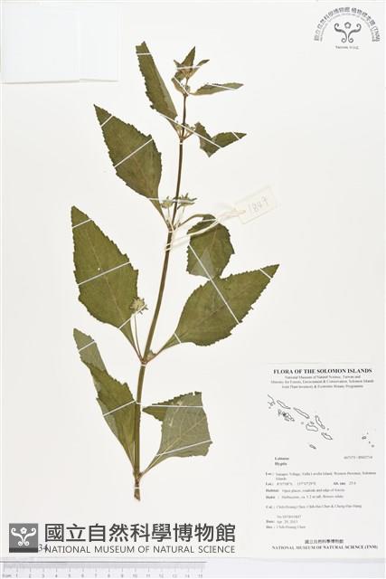 登錄號:BS02734藏品圖，第1張