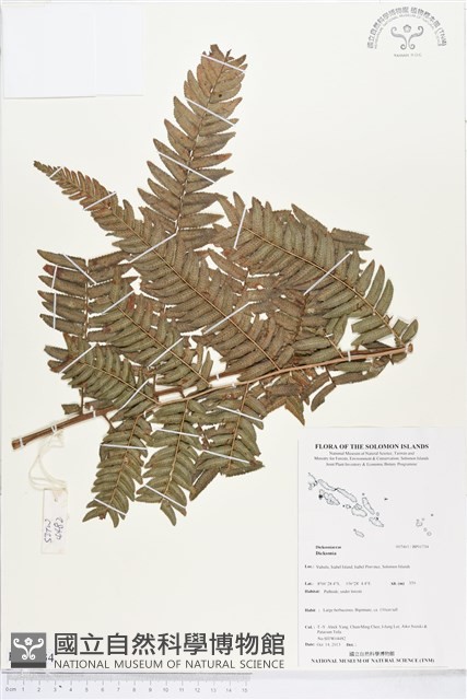 登錄號:BP01734藏品圖，第1張