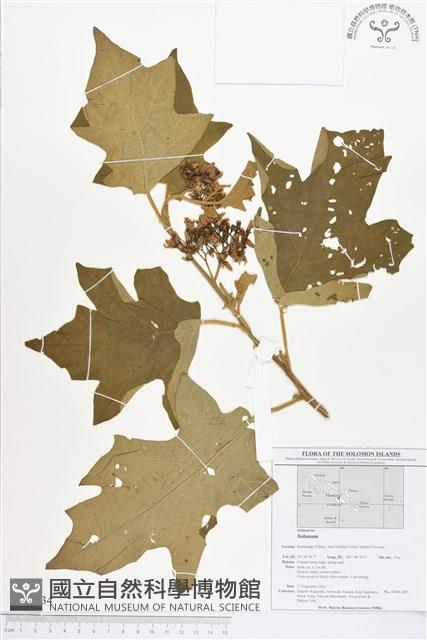 登錄號:BS01734藏品圖，第1張