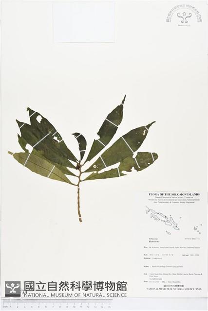 登錄號:BS04734藏品圖，第1張