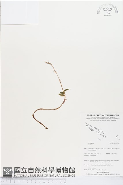 登錄號:BS03734藏品圖，第1張