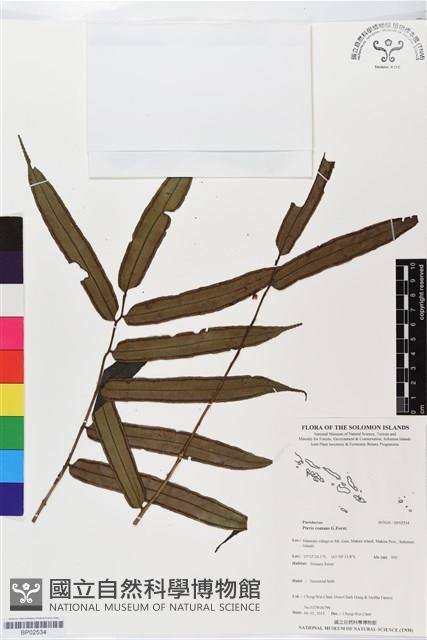 登錄號:BP02534藏品圖，第1張