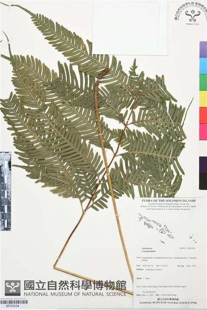 登錄號:BP03534藏品圖，第1張