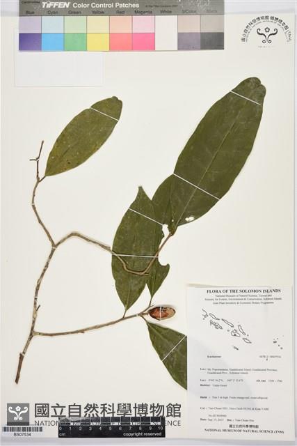 登錄號:BS07534藏品圖，第1張