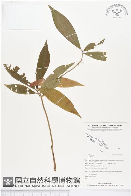 登錄號:BS01934藏品圖，第1張