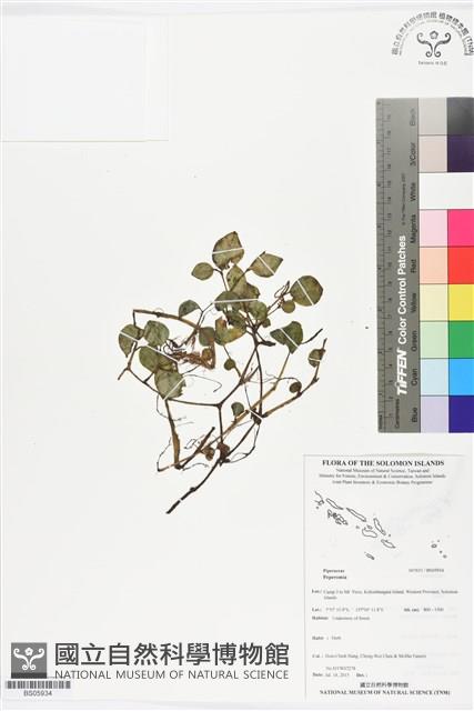 登錄號:BS05934藏品圖，第1張