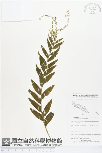 登錄號:BS03934藏品圖，第1張