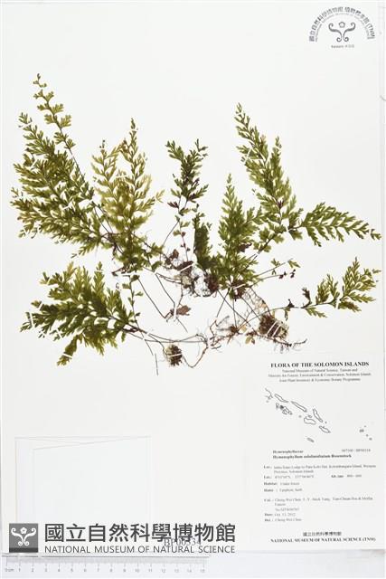 登錄號:BP00334藏品圖，第1張