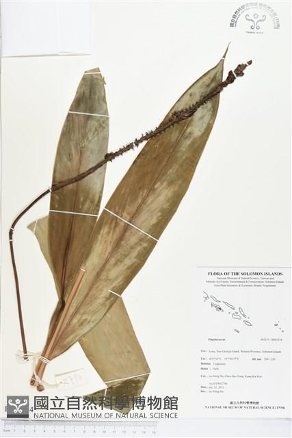 登錄號:BS03334藏品圖，第1張