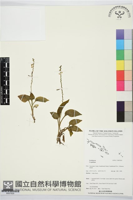 登錄號:BS07629藏品圖，第1張