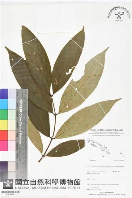 登錄號:BS06429藏品圖，第1張