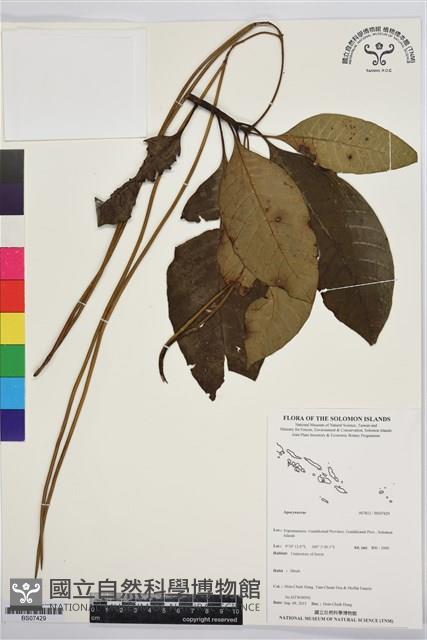 登錄號:BS07429藏品圖，第1張