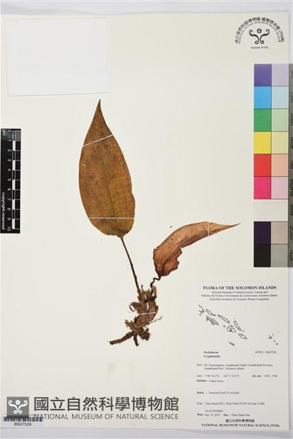 登錄號:BS07529藏品圖，第1張