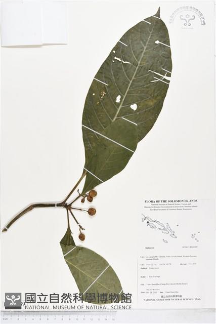 登錄號:BS04089藏品圖，第1張