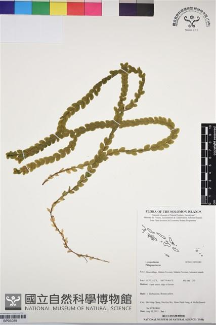 登錄號:BP03089藏品圖，第1張