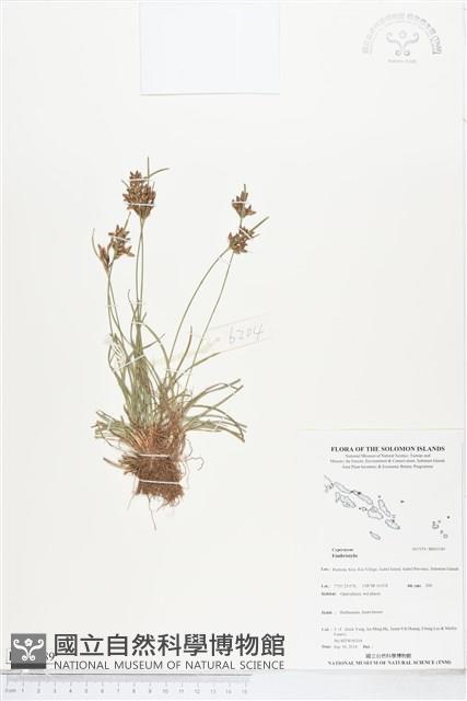 登錄號:BS05189藏品圖，第1張