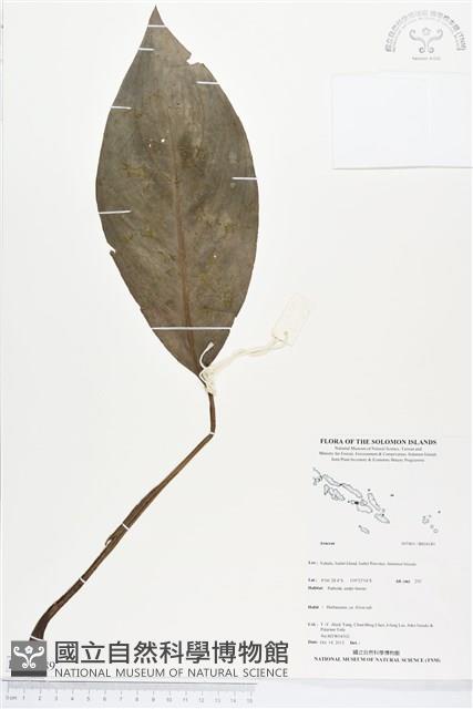 登錄號:BS04189藏品圖，第1張