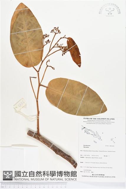 登錄號:BS04489藏品圖，第1張