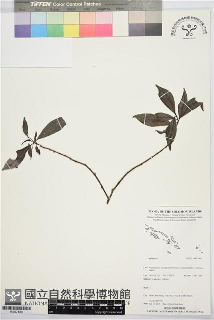 登錄號:BS07489藏品圖，第1張