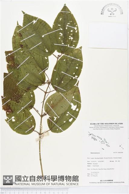 登錄號:BS03289藏品圖，第1張