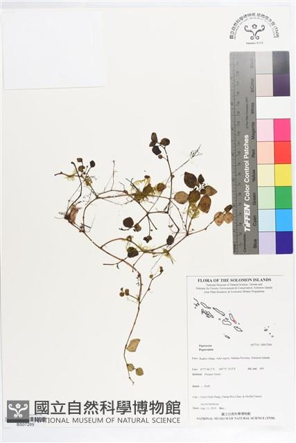 登錄號:BS07289藏品圖，第1張