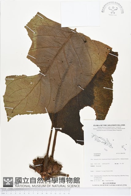 登錄號:BS04789藏品圖，第1張