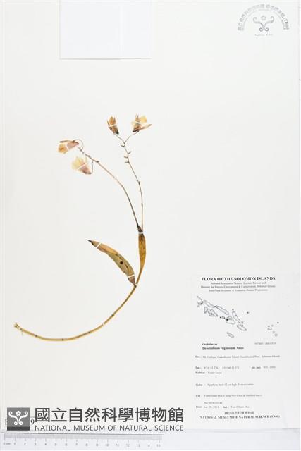 登錄號:BS04589藏品圖，第1張