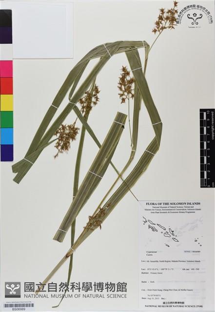 登錄號:BS06989藏品圖，第1張
