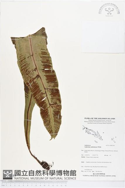 登錄號:BP02389藏品圖，第1張