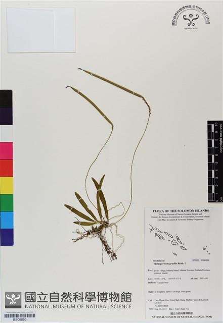 登錄號:BS06899藏品圖，第1張