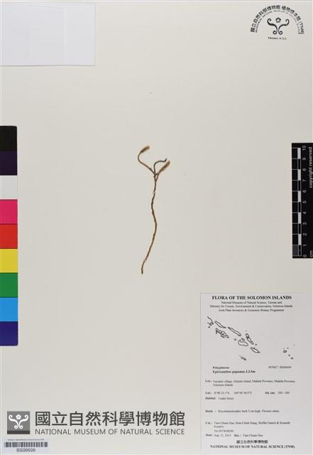 登錄號:BS06699藏品圖，第1張
