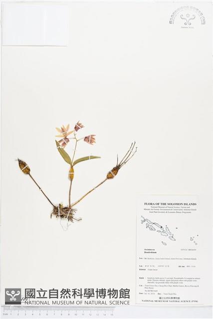 登錄號:BS04699藏品圖，第1張