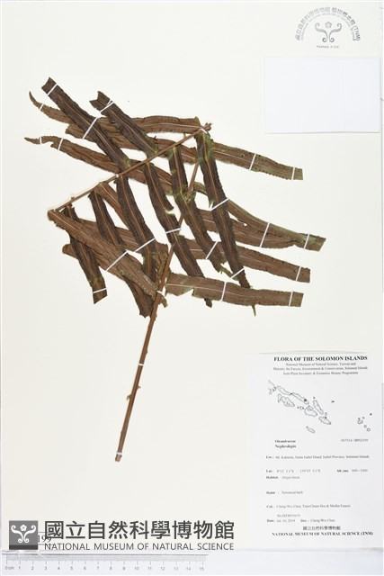 登錄號:BP02199藏品圖，第1張