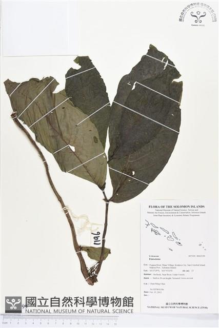 登錄號:BS02199藏品圖，第1張