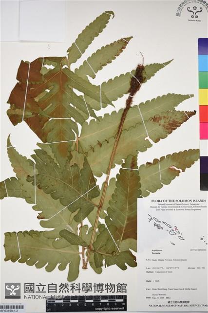 登錄號:BP03199藏品圖，第1張