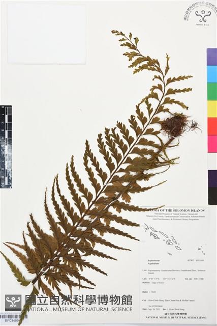 登錄號:BP03499藏品圖，第1張